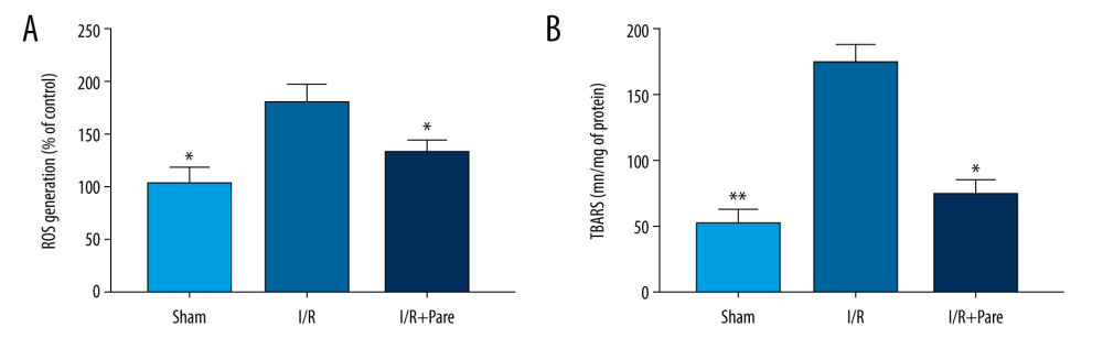 Parecoxib sodium relieved oxidative stress induced by myocardial I/R injury. (A) Percentage of ROS+ cells in myocardial tissues. The proportion of ROS+ cells was higher in the I/R group than that in the Sham group and I/R+Pare group (P<0.05). (B) Difference in MDA protein concentration in myocardial tissues. Compared with that in the I/R group, MDA protein concentration were clearly lower in the Sham group and I/R+Pare group (P<0.01). (* P<0.05 vs. I/R group, ** P<0.01 vs. I/R group).