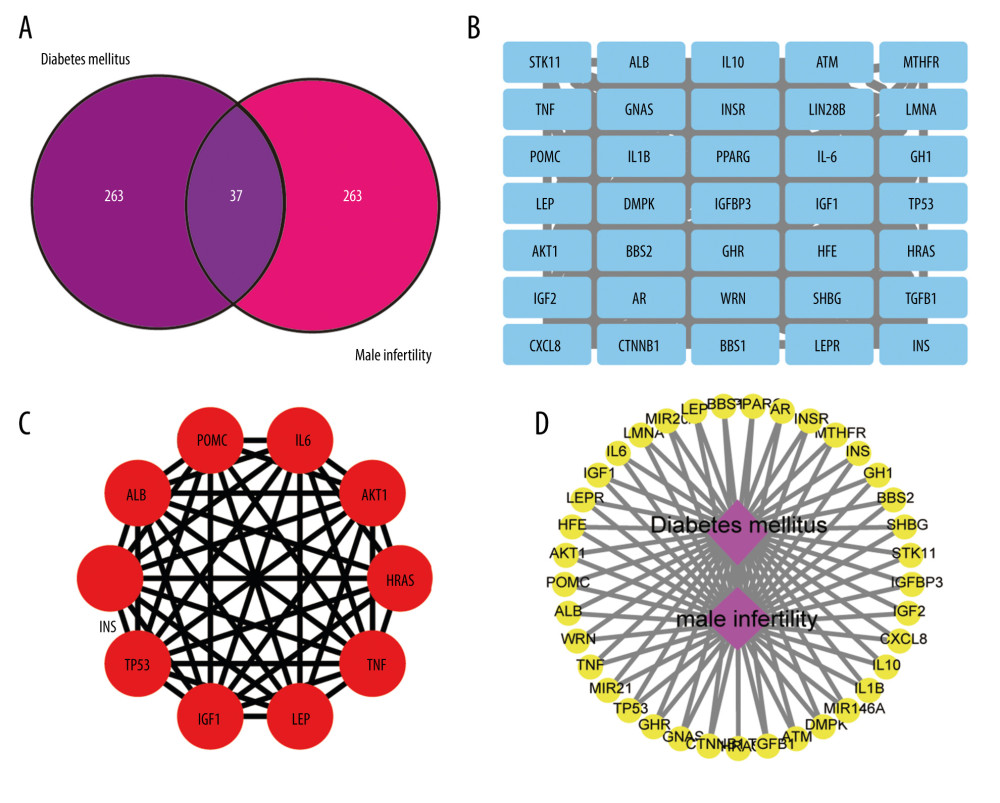 (A) Intersection of targets of diabetes mellitus and male infertility; (B) Diabetes mellitus-male infertility targets network built by Cytoscape (3.7.1); (C) protein–protein interaction (PPI) network built by Cytoscape (3.7.1); (D) PPI network processed by Cytoscape (3.7.1) plug-in (cytohubba).