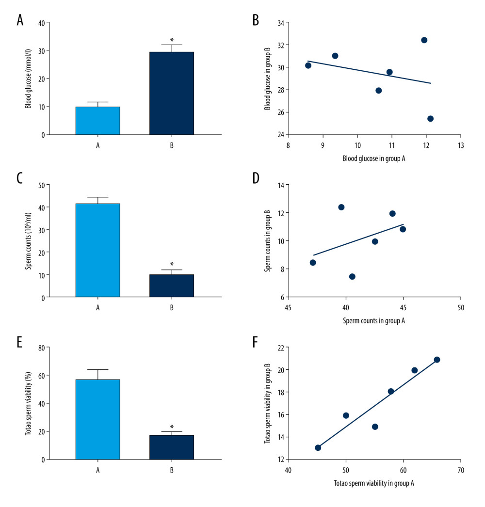 (A) Blood glucose of mice from groups A (control) and B (diabetic). (C, E) Sperm counts and total sperm viability in the 2 groups. (B, D, F) Scatter plot of blood glucose, sperm count and total sperm viability in the 2 groups of mice. Values are the mean±SEM (n=6 animals per group). The t test was used to compare group B with group A, * P<0.05.