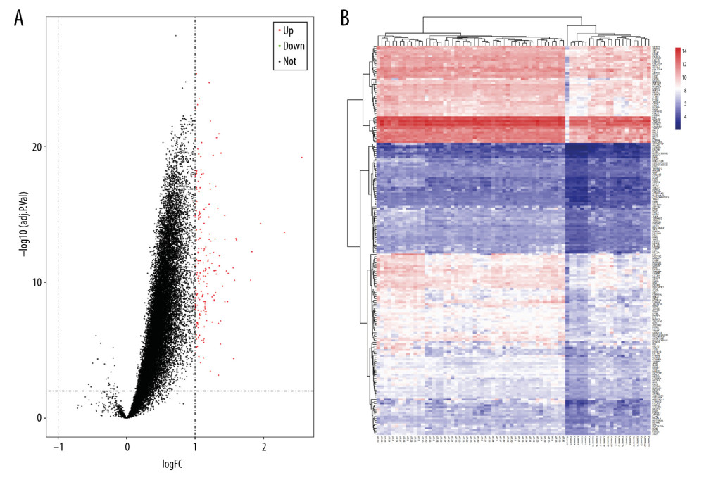(A) Volcano plot of potential differentially expressed genes (DEGs). Red dots denote upregulated genes; green dots denote downregulated genes. (B) Heat maps for the DEGs between atrial fibrillation (AF) and sinus rhythm (SR).
