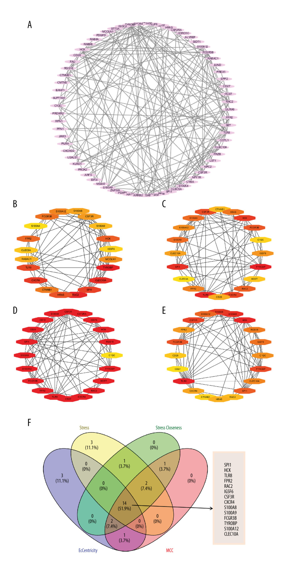 (A) Protein–protein interaction (PPI) networks of the differentially expressed genes (DEGs). The top 20 genes in cytoHubba plugins: (B) Stress, (C) Closeness, (D) EcCentricity, and (E) MCC. (F) Venn diagrams of the top 20 genes.