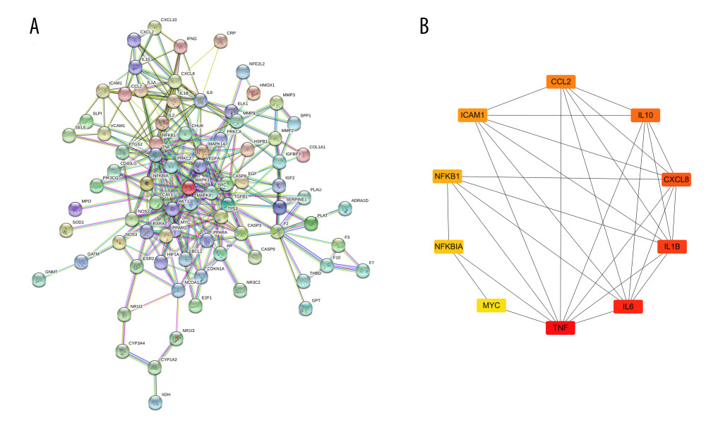The network and key subnetwork of protein-protein interaction (PPI) of potential targets. (A) PPI network; (B) key subnetwork for PPI.