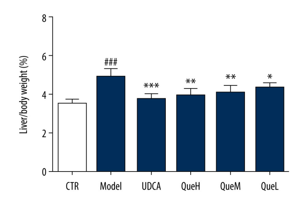 Effect of quercetin treatment on the liver/body weight ratio. #P <0.05, ## P<0.01, ### P<0.001 vs control group; * P<0.05, ** P<0.01, *** P<0.001 vs model group. Data represent mean±SD (n=6 for each group). Groups were as follows: ursodeoxycholic acid (UCDA), control (CTR), high-dose quercetin (QueH; 200 mg/kg bodyweight), medium-dose quercetin (QueM; 100 mg/kg bodyweight), low-dose quercetin (QueL, 50 mg/kg bodyweight).