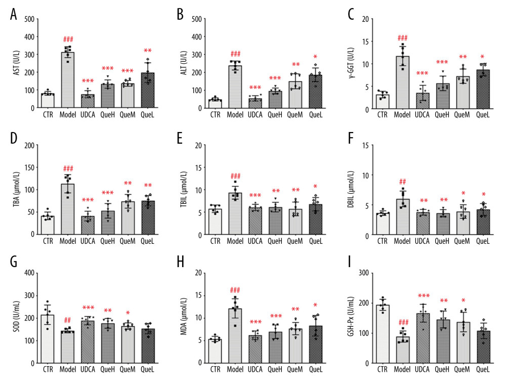 Effect of quercetin treatment on the levels of serum biochemical indices in ANIT administration rats. (A) aspartate aminotransferase (AST); (B) alanine aminotransferase (ALT); (C) γ-glutamyltranspeptidase (γ-GGT); (D) total bile acid (TBA); (E) total bilirubin (TBIL); (F) direct bilirubin (DBIL); (G) superoxide dismutase (SOD); (H) malondialdehyde (MDA); and (I) glutathione peroxidase (GSH-Px). # P<0.05, ## P<0.01, ### P<0.001 vs control group; * P<0.05, ** P<0.01, *** P<0.001 vs model group. Data represent mean±SD (n=6 for each group).