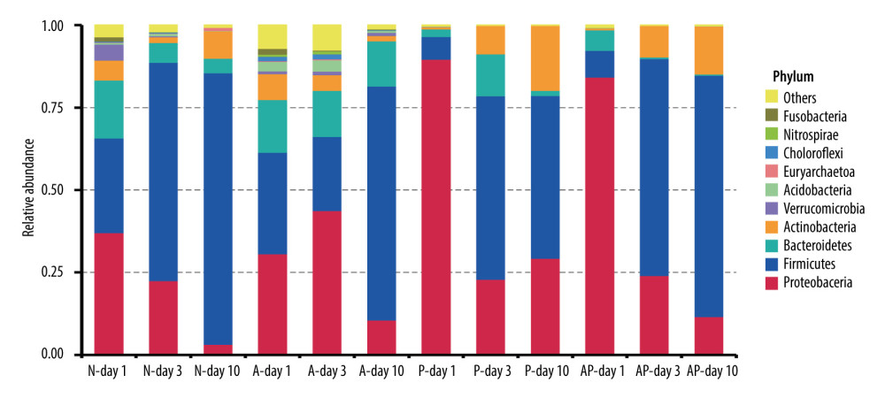 The composition of gut microbiome of preterm infants delivered by cesarean section in the 4 groups at 1, 3, and 10 days: Ten most abundant bacteria at the phylum level. N – the N group (No-probiotics and No-antibiotics); A – the A group (antibiotics); P – the P group (probiotics); AP – the AP group (antibiotics+probiotics). Day1 – One day after birth; day3 – Three days after birth; day10 – Ten days after birth.