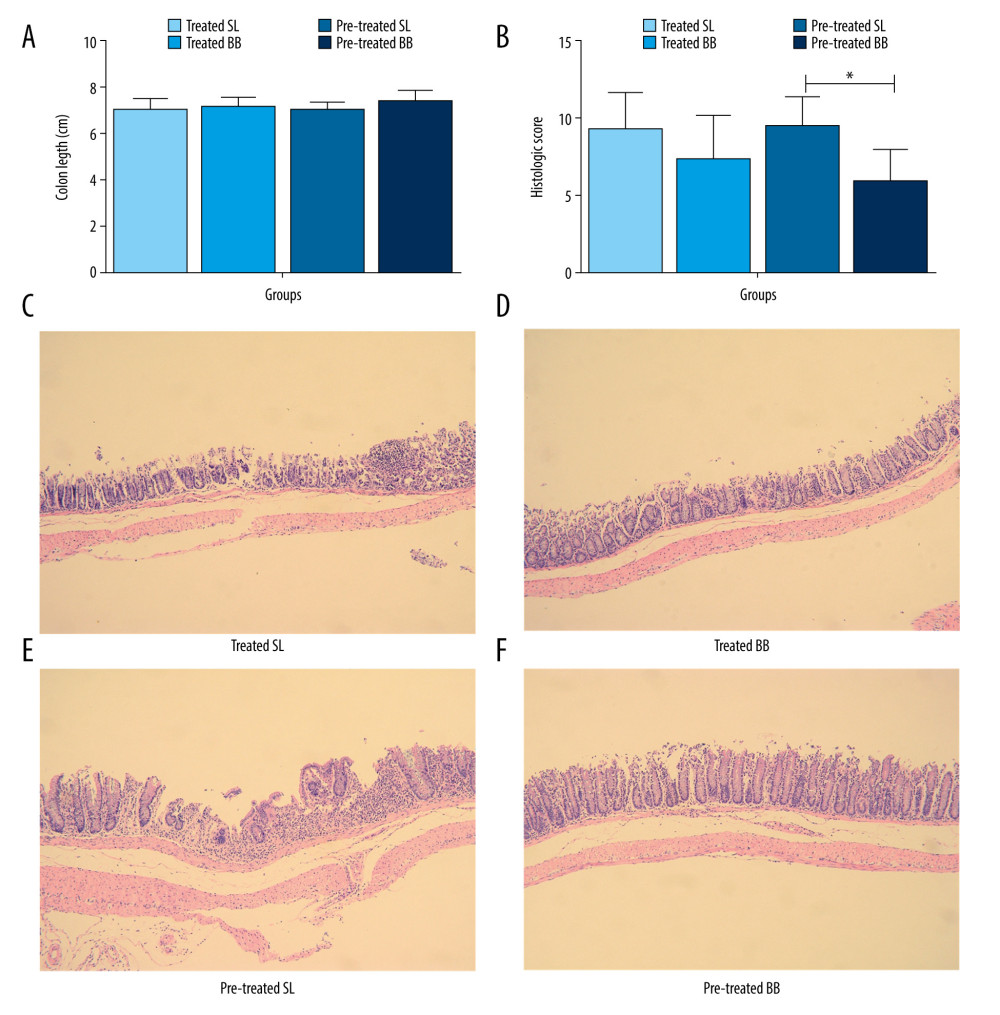 Colon length and histopathology analysis for effect of Bifidobacterium bifidum colonization on dextran sulfate sodium-induced colon damage. (A) Average colon length was shorter in the control groups than those in the treated groups, but the difference was not significant. (B) Histologic scores were significantly lower in the mice pretreated with B. bifidum for 5 weeks (* P<0.05). (C–F) Inflammation was more serious in the control groups than in the B. bifidum-treated and -pretreated groups. The control groups exhibited inflammatory cell infiltration, moderate to severe erosion of the lamina propria mucosa, and even ulcerative damage (hematoxylin and eosin staining, magnification ×100).