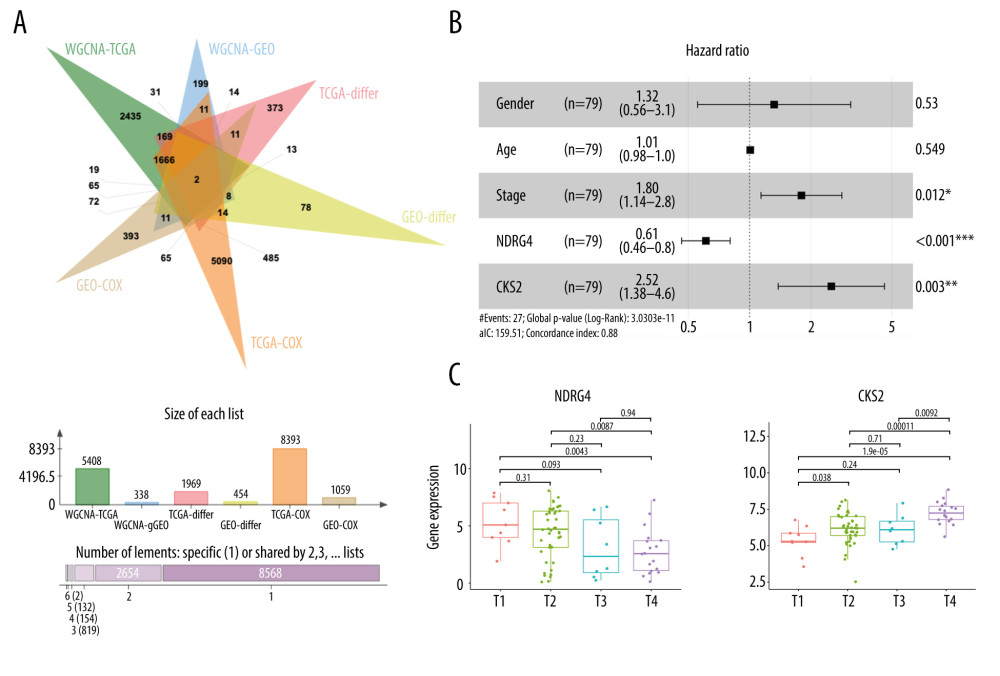 Identification of NDRG4/CKS2 as key prognostic genes in ACC. (A) Venn diagram of the intersection of prognostic genes in the TCGA-ACC cohort and the GSE76021 cohort. (B) Multivariate Cox regression model for overall survival in ACC including gender, age, tumor stage, NDRG4 expression, and CKS2 expression. (C) NDRG4 gene expression in ACC according to different stages. (D) CKS2 gene expression in ACC according to different stages. ACC – adrenocortical carcinoma.