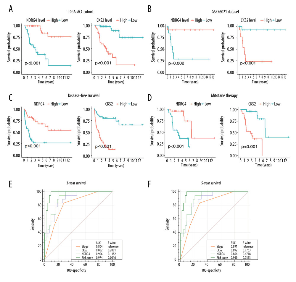 Association between NDRG4/CKS2 expression and survival of ACC patients. (A) Kaplan-Meier survival curve of overall survival in the TCGA-ACC cohort according to NDRG4 and CKS2 expression. (B) Survival curve of overall survival in the GSE76021 cohort according to NDRG4 and CKS2 expression. (C) Survival curve of disease-free survival in the TCGA-ACC cohort according to NDRG4 and CKS2 expression. (D) Survival analysis according to NDRG4 and CKS2 expression in ACC patients treated by mitotane therapy. (E, F) Receiver operating characteristic analysis of the tumor stage, CKS2 expression, NDRG4 expression, and the combined risk score for predicting 3-year survival (E) and 5-year survival (F) in the TCGA-ACC cohort. ACC – adrenocortical carcinoma.