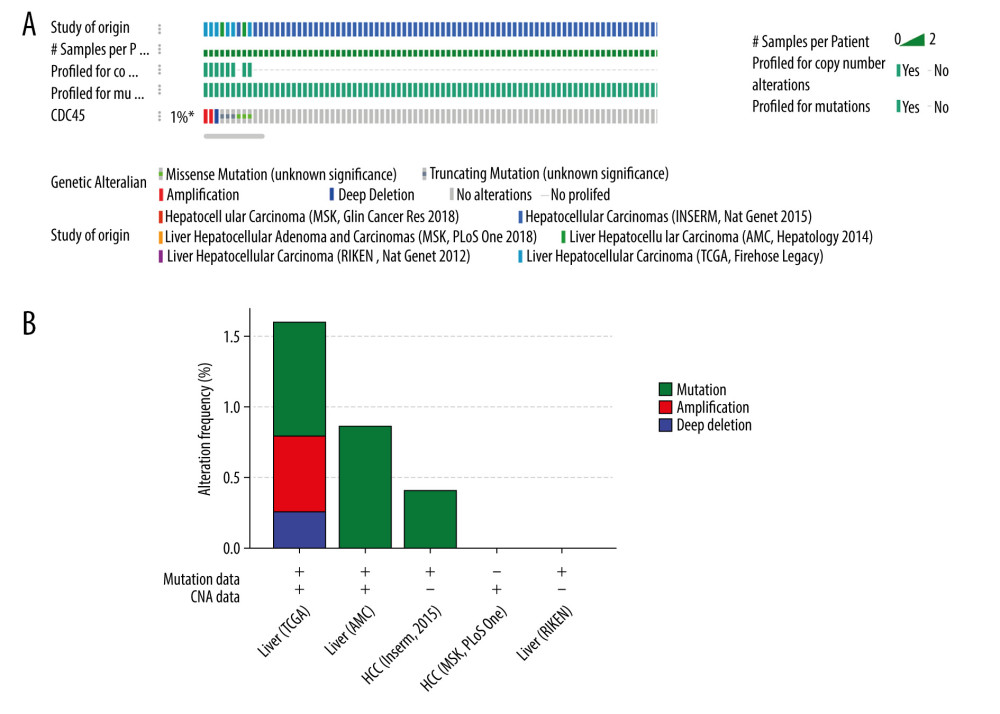 The CDC45 genetic alterations in multiple HCC datasets. (A) The oncoprint of CDC45 in 1089 cases of hepatocellular carcinoma (HCC) from multiple datasets involved The Cancer Genome Atlas (TCGA), AMC, Inserm, MSK, and RIKEN. CDC45 was altered in 9 (1%) of the patients. (B) The alteration frequency of CDC45 in HCC and mutation was the most common alternate forms, especially in liver (AMC) and HCC (Inserm, 2015) studies.