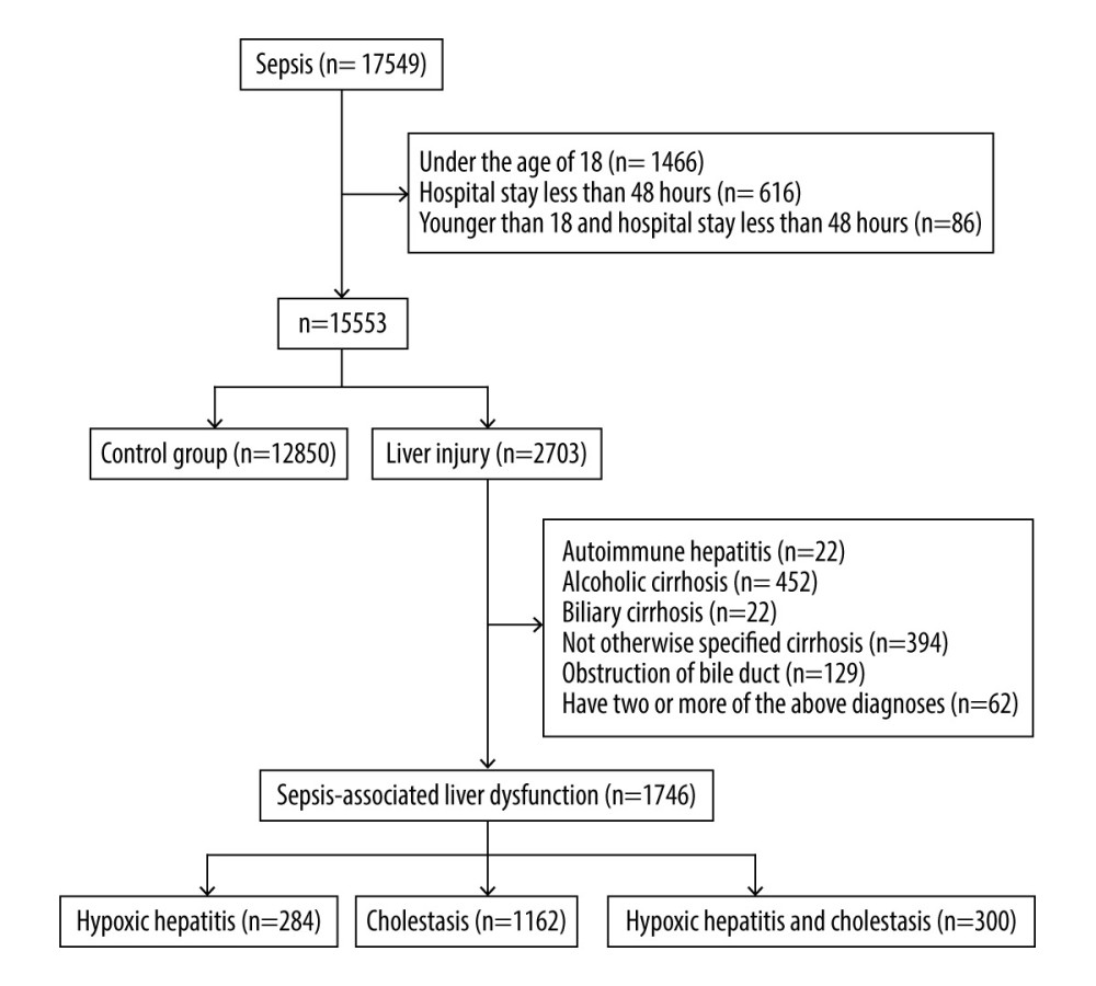 Flow chart for the study selection process. A total of 14 596 patients were included in this retrospective study, of which 12 850 were in the control group and 1746 were in the SALD group. The incidence of SALD was 11.96%. SALD, sepsis-associated liver dysfunction.