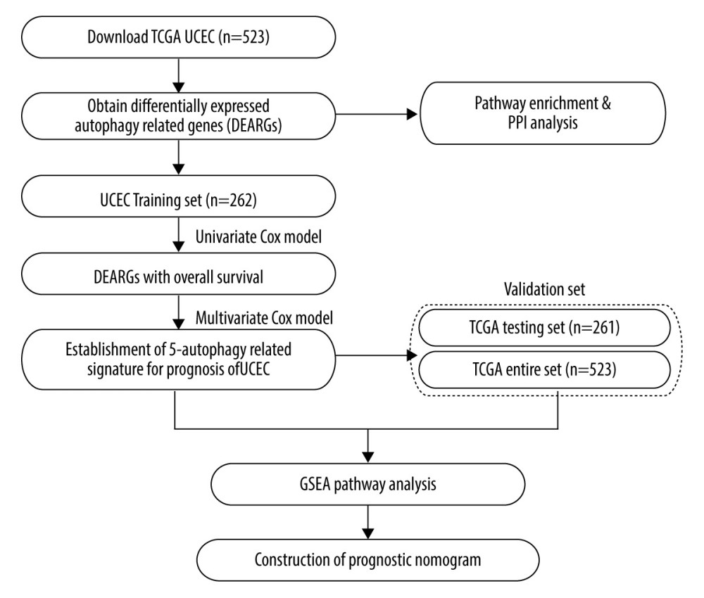 An entire workflow for identification of UCEC prognostic autophagy signature in our study.