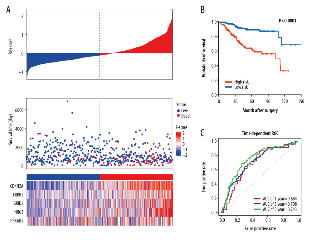 Characteristics of differential expression autophagy-related genes (DEARGs) autophagy signature, Kaplan-Meier plot, and AUC curves in the TCGA entire set. (A) Distribution of risk score, patient survival status, and heatmap of autophagy-related gene expression profiles. (B) Kaplan-Meier curves of the prognostic predictors for high-risk and low-risk patients with UCEC. (C) Time-dependent ROC curves for the efficacy evaluation of the 5-gene autophagy-related signature.