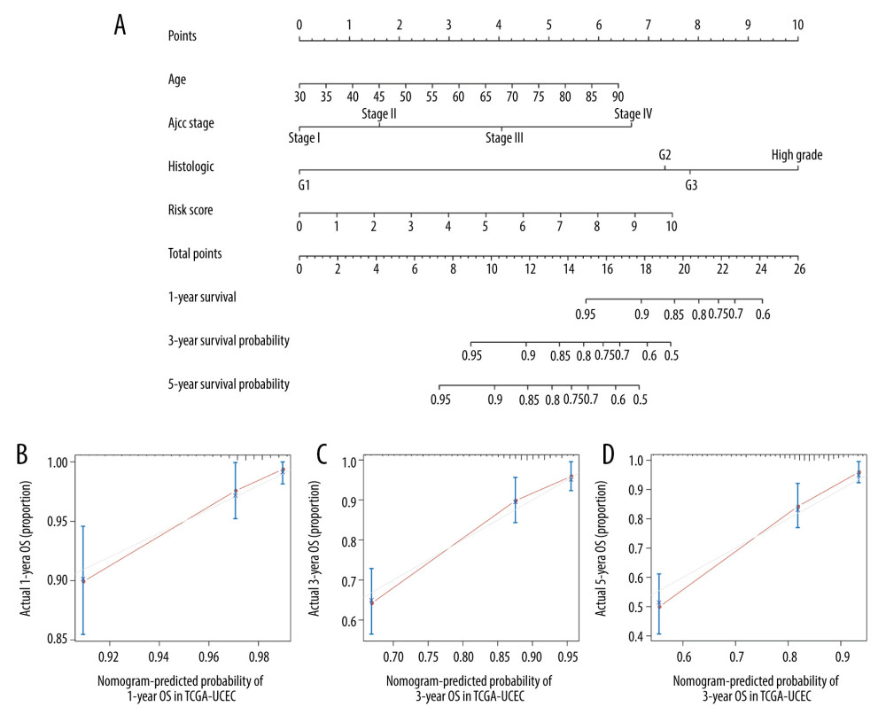 Nomogram for predicting the 1-, 3-, and 5-year survival with risk score. (A) A prognostic nomogram for patients with UCEC in TCGA; (B–D) Calibration curves for the nomogram at 1, 3, and 5 years.