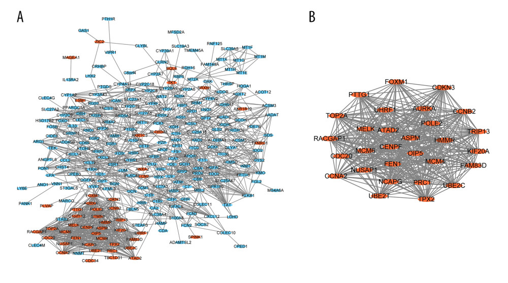 Protein-protein interaction (PPI) network and the most significant modules. (A) PPI network was drawn by Cytoscape. Upregulated genes are marked in red, downregulated genes are marked in blue. (B) The most significant module, including 29 nodes and 388 edges, was obtained from the PPI network.