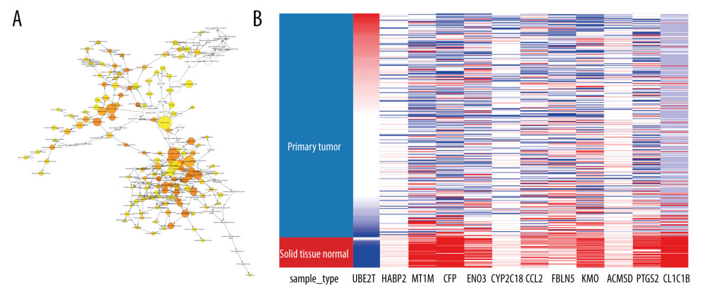 BP analysis and hierarchical cluster analysis of key gene. (A) In the BP graph drawn by the BINGO plug-in in Cytoscape, the size of the node was decided by the number of corresponding genes. (B) Hierarchical cluster analysis graph shows the expression of 12 hub genes in primary hepatocellular carcinoma (HCC) tissue and normal tissue. Upregulated genes are marked in red, downregulated genes are marked in blue.