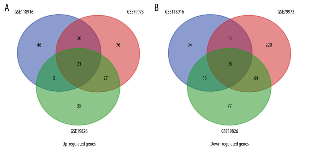 Venn diagrams of all screened differentially expressed genes (DEGs) identified from 3 gene expression profiles (GSE118916, GSE79973, and GSE19826). (A) Twenty-one upregulated genes. (B) Ninety-eight downregulated genes.