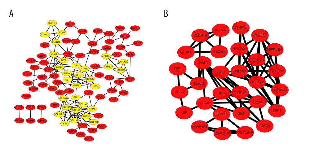 Differentially expressed genes (DEGs) protein–protein interaction (PPI) network analysis. (A) DEGs in PPI network complex by STRING and Cytoscape, which demonstrated 90 nodes and 162 edges and excluded 29 DEGs. (B) Module identified by Cytoscape MCODE plug-in. The nodes represent proteins; the edges represent protein interactions.