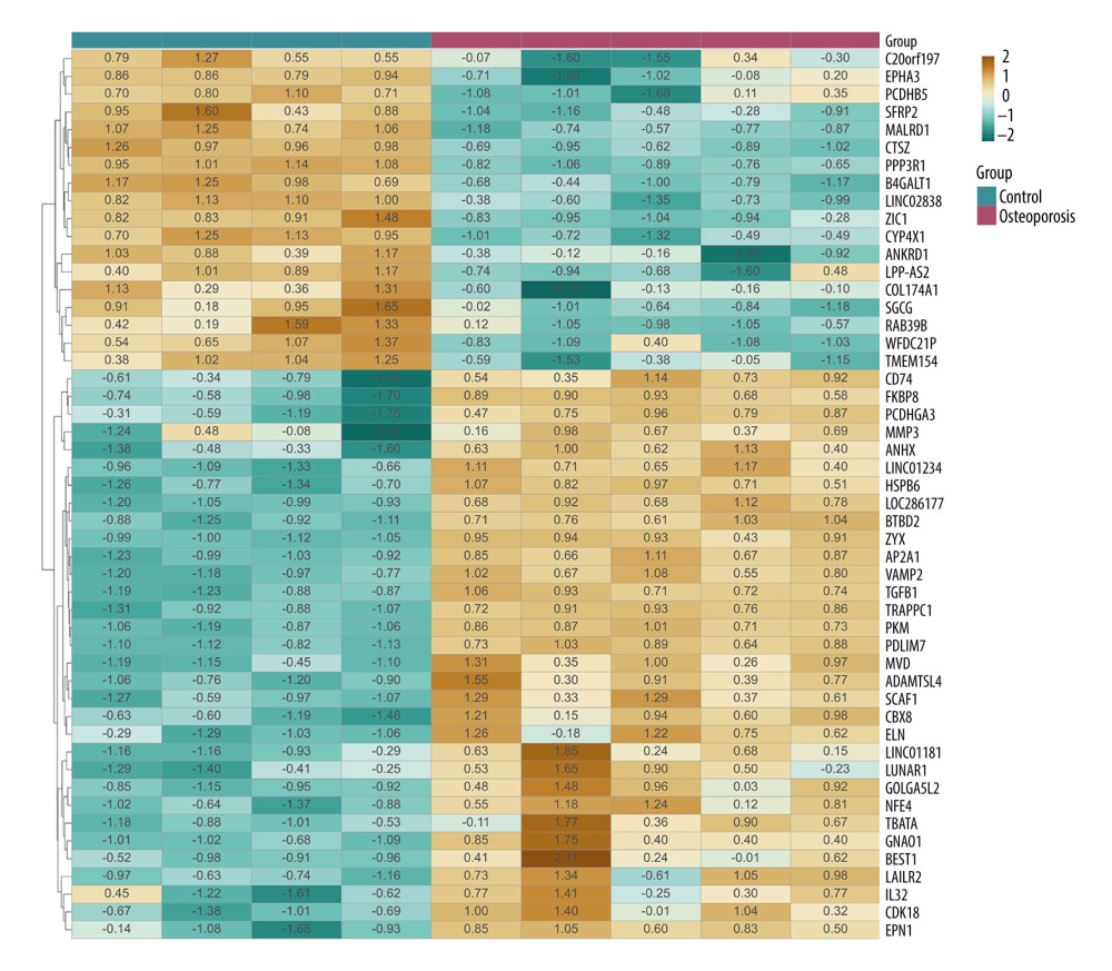 The top 50 differentially expressed genes in GSE35958. The color depth changes are according to their fold change values presented inside the cells