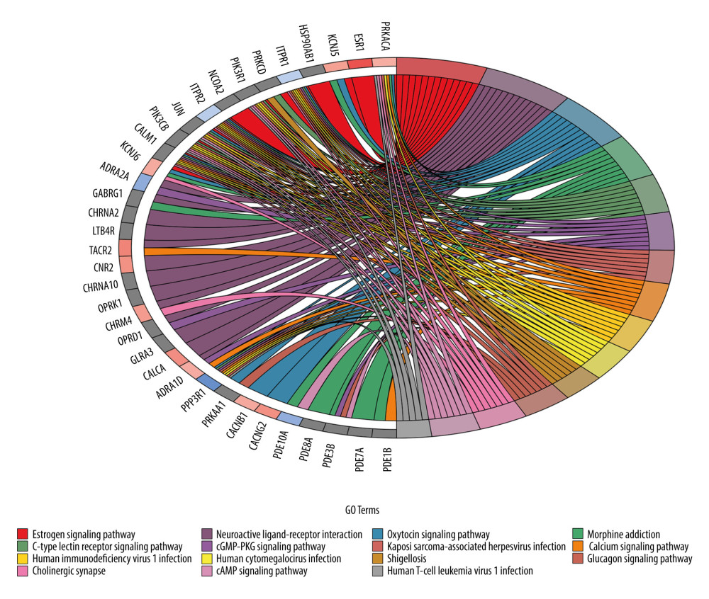 Chord diagram for the top 15 Kyoto Encyclopedia of Genes and Genomes (KEGG) enrichment terms.