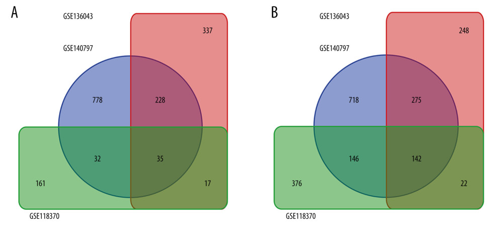 Common differentially expressed genes (DEGs) in GSE118370, GSE136043, and GSE140797. (A) There were 35 upregulated DEGs common to the 3 datasets. (B) There were 142 downregulated DEGs common to the 3 datasets.