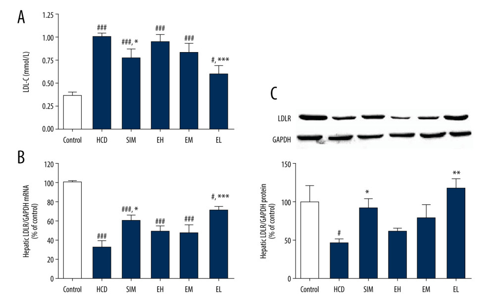 (A) Emodin reduced LDL-C concentration in serum and upregulated (B) hepatic LDLR mRNA expression and (C) LDLR protein expression. Hepatic LDLR mRNA and protein levels were determined by RT-qPCR and western blotting, respectively. Data are expressed as mean±SD, n=6–8. HCD – high-cholesterol diet group; SIM – simvastatin (10 mg/kg) treatment group; EH – high-dose emodin (100 mg/kg) treatment group; EM – medium-dose emodin (30 mg/kg) treatment group; EL – low-dose emodin (10 mg/kg) treatment group. # P<0.05, ## P<0.01, ### P<0.001 vs standard diet control group; * P<0.05, ** P<0.01, *** P<0.001 vs untreated HCD group.