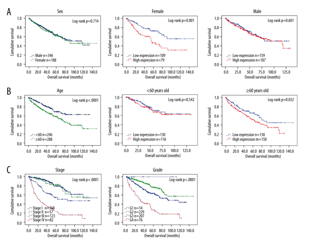 Survival analyses based on clinical characteristics of ccRCC patients. (A) Sex; (B) Age; (C) Clinical stage; (D) Histological grade.