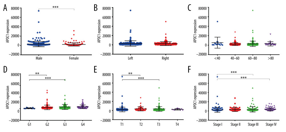 APOC1 expression analyses based on clinicopathological factors. (A) Sex; (B) Primary tumor laterality; (C) Age; (D) Histological grade; (E) T stage; (F) Clinical stage. Compared with normal group: ** P<0.01 and *** P<0.001.