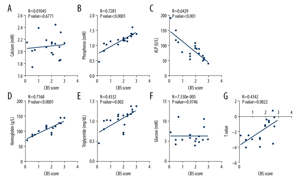 Association of femoral cystathionine β synthase (CBS) expression with clinical characteristics. (A) Correlation between femoral CBS expression and serum calcium levels. (B) Correlation between femoral CBS expression and serum phosphorus levels. (C) Correlation between femoral CBS expression and serum alkaline phosphatase (ALP) levels. (D) Correlation between femoral CBS expression and serum hemoglobin levels. (E) Correlation between femoral CBS expression and serum triglycerides levels. (F) Correlation between femoral CBS expression and fasting blood glucose levels. (G) Correlation between femoral CBS expression and femoral T value. Multivariate forward stepwise linear regression analysis was used to identify the correlation between femoral CBS expression and clinical characteristics.