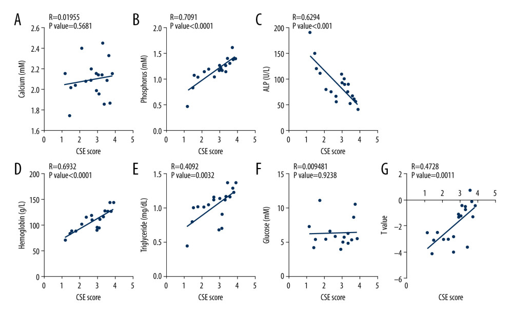Association of femoral cystathionine γ lyase (CSE) expression with clinical characteristics. (A) Correlation between femoral CSE expression and serum calcium levels. (B) Correlation between femoral CSE expression and serum phosphorus levels. (C) Correlation between femoral CSE expression and serum alkaline phosphatase (ALP) levels. (D) Correlation between femoral CSE expression and serum hemoglobin levels. (E) Correlation between femoral CSE expression and serum triglycerides levels. (F) Correlation between femoral CSE expression and fasting blood glucose levels. (G) Correlation between femoral CSE expression and femoral T value. Multivariate forward stepwise linear regression analysis was used to identify the correlation between femoral CSE expression and clinical characteristics.