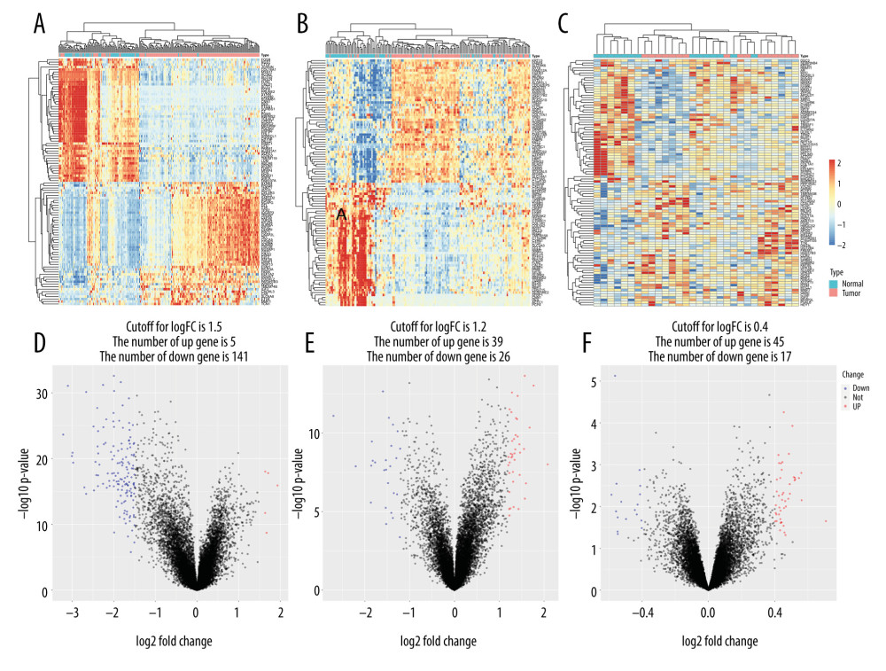 Heatmap and volcano map of different expression genes. (A, D) Normal vs tumor tissue (GSE13507); (B, E) Non-muscle-infiltrating vs muscle-infiltrating tumor tissue (GSE13507); (C, F) Non-muscle-infiltrating vs muscle-infiltrating tumor tissue (GSE77952).