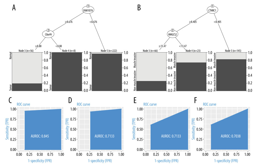 (A, C, D) Decision tree, used to classify normal samples and tumor samples. The area under the curve (AUC) was 0.845 in the training set and 0.7133 in the testing set. (B, E, F) Decision tree, used to classify muscle-infiltrating tumor samples and non-muscle-infiltrating tumor samples, AUC is 0.7133 in the training set and 0.7038 in the testing set.