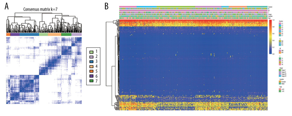 The consensus matrix for DNA methylation classification with the corresponding heatmap. (A) The blue color heatmap corresponding to the consensus matrix for 7 molecular subtypes. (B) The heatmap corresponding to the dendrogram in (A). The blue bars and red bars represent the hypomethylate CpG site and hypermethylated CpG site, respectively.