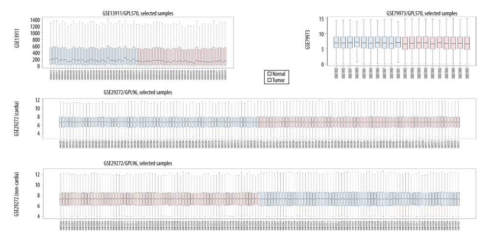 The details regarding the expression data from primary gastric tumors and adjacent normal samples in 4 subsets of 3 datasets.