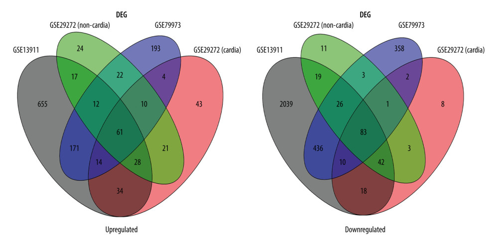 Venn diagram of the overlapping parts of the 4 subsets of 3 datasets of differentially expressed genes. Sixty-one genes were upregulated and 83 were downregulated.