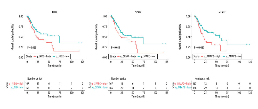Overall survival according to the expression of NID2, SPARC, and MFAP2. Red line indicates high expression and blue line indicates low expression.