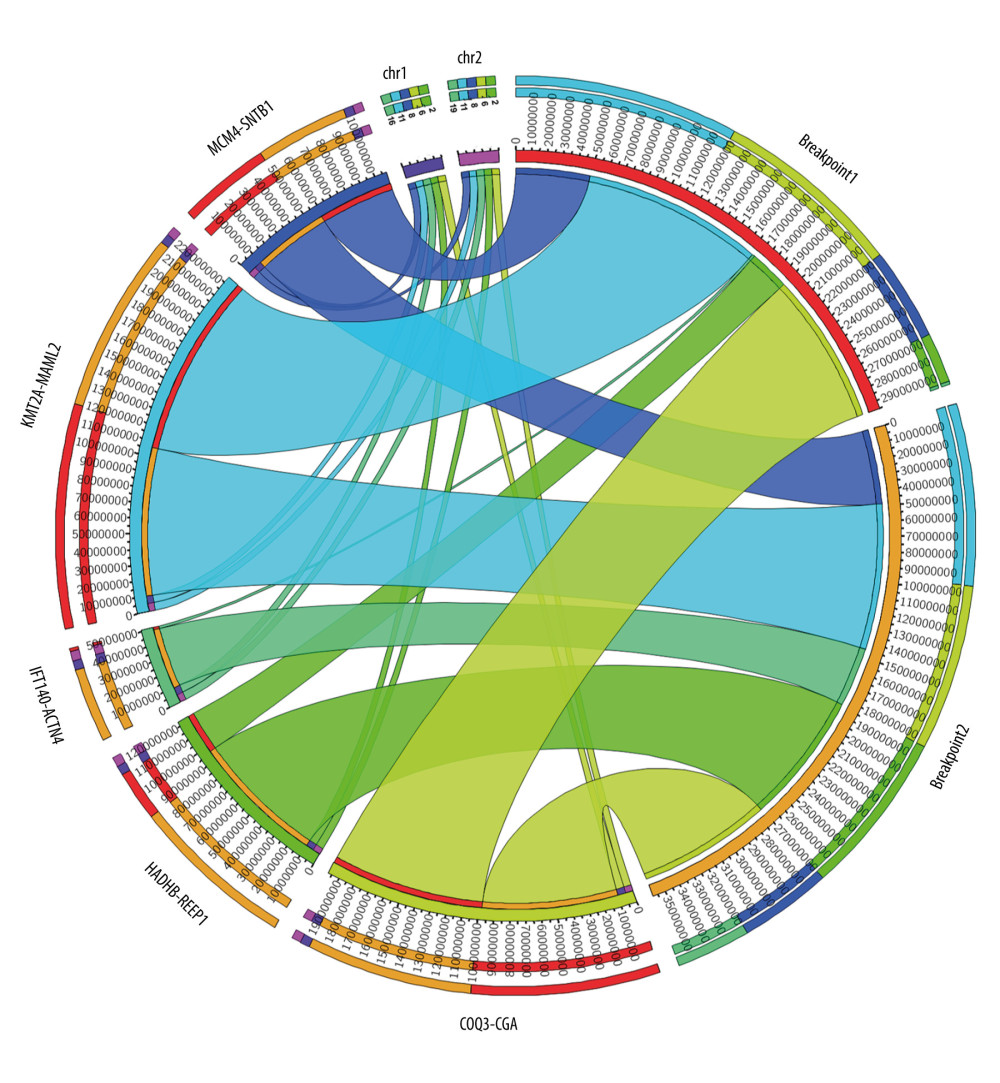 Circos plot of fusion genes mapped to chromosome and breakpoints on genome.