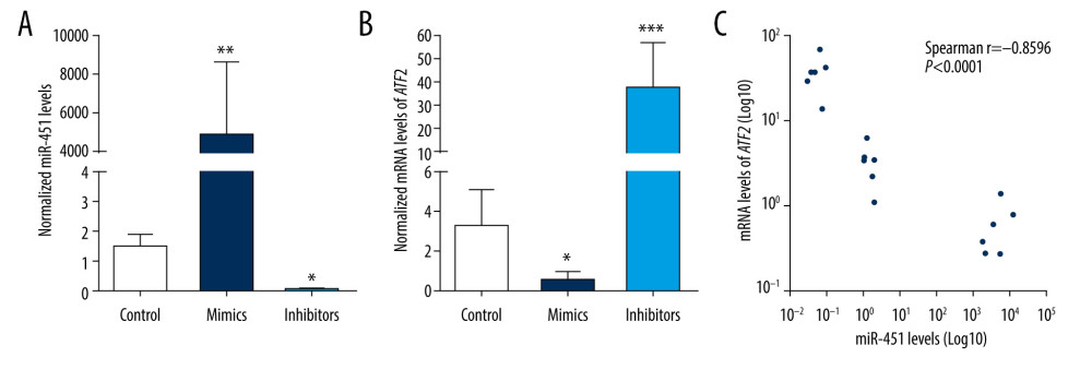 miR-451 negatively regulated mRNA levels of ATF2 in B-CPAP cells. (A, B) B-CPAP cells were transfected with control microRNA (control), miR-451 mimics (mimics) or miR-451 inhibitor (inhibitors) and incubated for 48 h. miR-451 levels (A) and messenger RNA levels of ATF2 (B) were detected with quantitative polymerase chain reaction. (C) Correlation of miR-451 levels and ATF2 mRNA. * P<0.05, ** P<0.01, and *** P<0.001 versus the control group.
