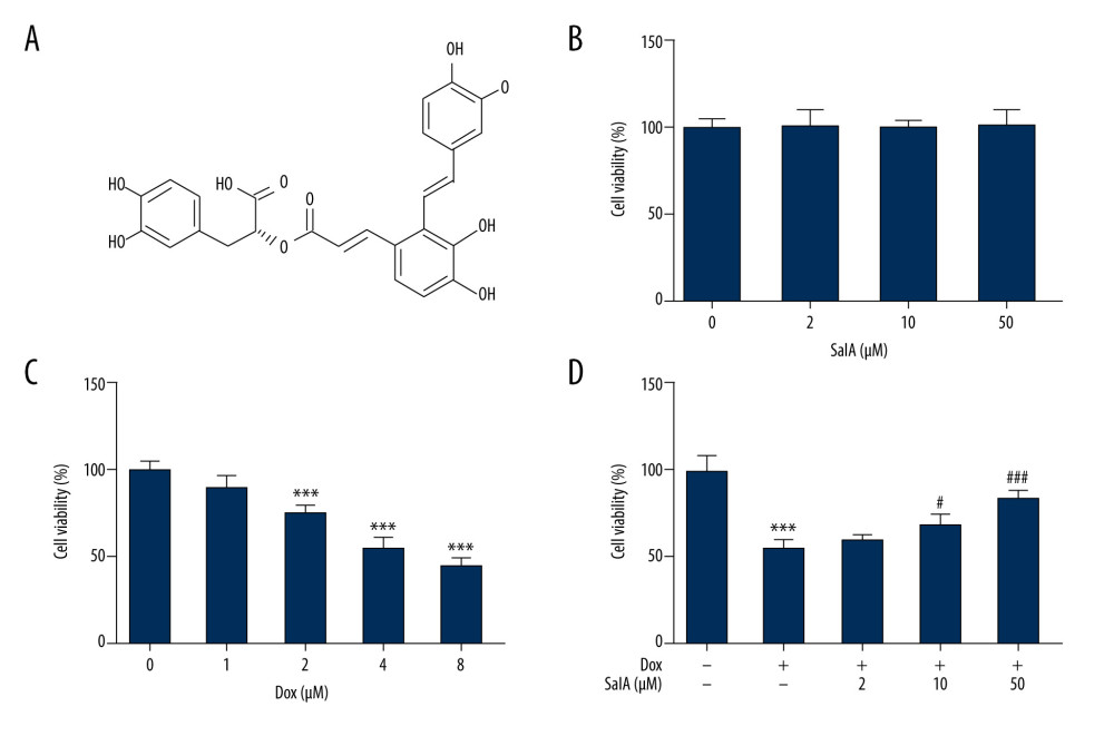 The effect of salvianolic acid A (SalA) and doxorubicin (Dox) on H9C2 cell viability. (A) the chemical structure of SalA. (B–D) H9C2 cells were exposed to 0, 2, 10, and 50 μM SalA for 12 h (B); 0, 1, 2, 4, and 8 μM Dox for 12 h (C); or SalA and 4 μM Dox co-treatment for 12 h (D). Cell viability was then measured by CCK-8 assay. *** P<0.001; # P<0.05; ### P<0.001.