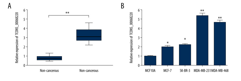 TCONS_00068220 was upregulated in breast cancer. (A) The relative level of TCONS_00068220 was measured in breast cancer tissues and adjacent non-cancerous tissues using qRT-PCR. (B) The relative levels of TCONS_00068220 in various breast cancer cell lines were assessed through qRT-PCR. * P<0.05 and ** P<0.01 vs control.