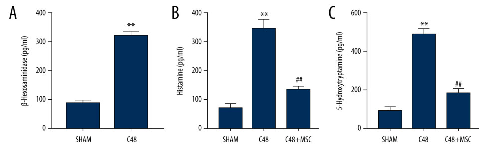 β-Hexosaminidase secretion was evaluated by ELISA. (A) β-Hexosaminidase assay: the concentration of β-hex released from the sensitized RBL-2H3 cells was significantly higher than that of normal RBL-2H3 cells. ** P<0.01 vs sham group. (B, C) Histamine and 5-hydroxytryptamine (5-HT) levels in the C48+MSC group were significantly lower than in the C48 group. ** P<0.01 vs sham group; ## P<0.01 vs C48 group.