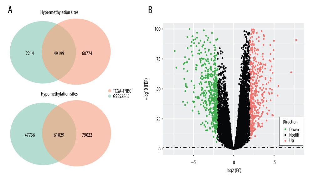Consistency of differentially methylated sites and identification of differentially expressed genes. (A) Overlapping differentially methylated sites between TCGA-TNBC and GSE52865. (B) Volcano plot of differentially expressed genes.