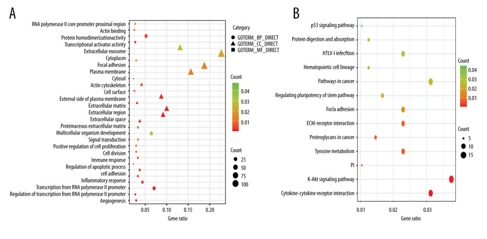 Functional enrichment of the significantly enriched Gene Ontology terms (A) and Kyoto Encyclopedia of Genes and Genomes pathways (B) of differentially expressed genes containing differentially methylated sites.
