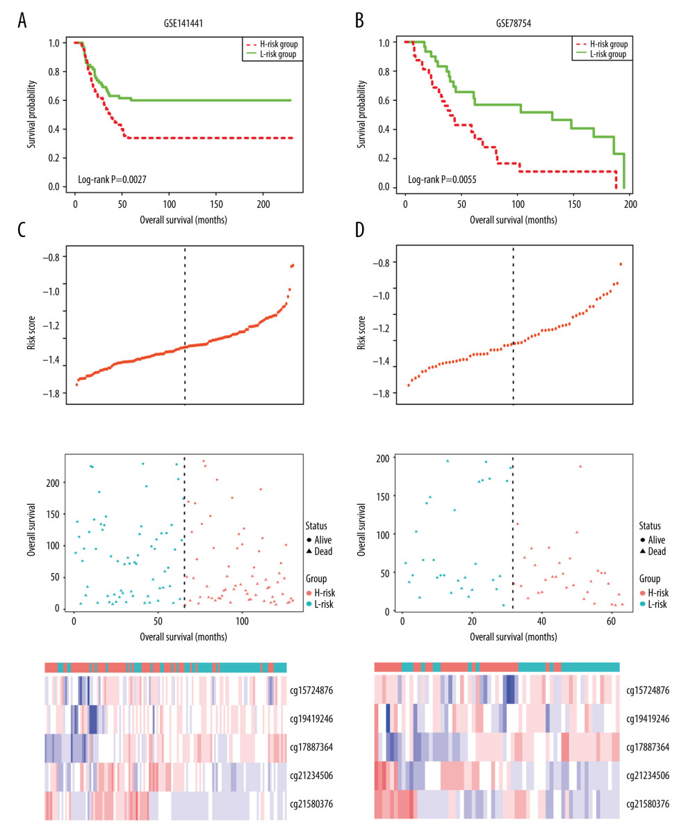 Kaplan-Meier survival curve in GSE141441 (A) and GSE78754 (B), and distribution of risk score, survival status, and methylation heatmap of 5 DMSs in GSE141441 (C) and GSE78754 (D).