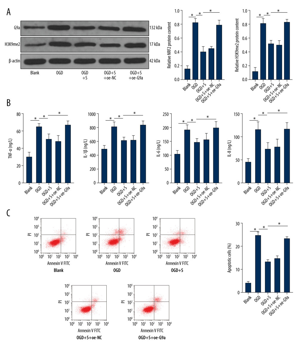 Sevoflurane post-treatment reduces the levels of G9a and H3K9me2 in OGD-induced PC12 cells to alleviate OGD-induced cell damage. (A) The protein levels of G9a and H3K9me2 in cells of each group were detected by western blot analysis. (B) ELISA was utilized to measure the levels of inflammatory factors (TNF-α, IL-1β, IL-6, and IL-8) in cells of each group. (C) Flow cytometry was performed to detect the apoptosis rate of cells in each group. The data are expressed as the mean±standard deviation. The data among groups were analyzed by one-way ANOVA, followed by Tukey’s multiple comparisons test. * P<0.05.