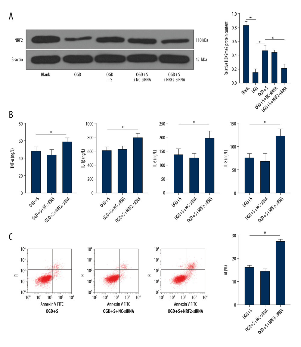 Silencing NRF2 reverses the alleviating effect of sevoflurane post-treatment on HIBI neonatal rats. (A) NRF2 protein level in cells of each group was determined by western blot assay. (B) ELISA was utilized to measure the levels of inflammatory factors (TNF-α, IL-1β, IL-6, and IL-8) in cells of each group. (C) Flow cytometry was carried out to observe apoptosis in cells of each group. The data are expressed as the mean±standard deviation. The data among groups were analyzed by one-way ANOVA, followed by Tukey’s multiple comparisons test. * P<0.05.