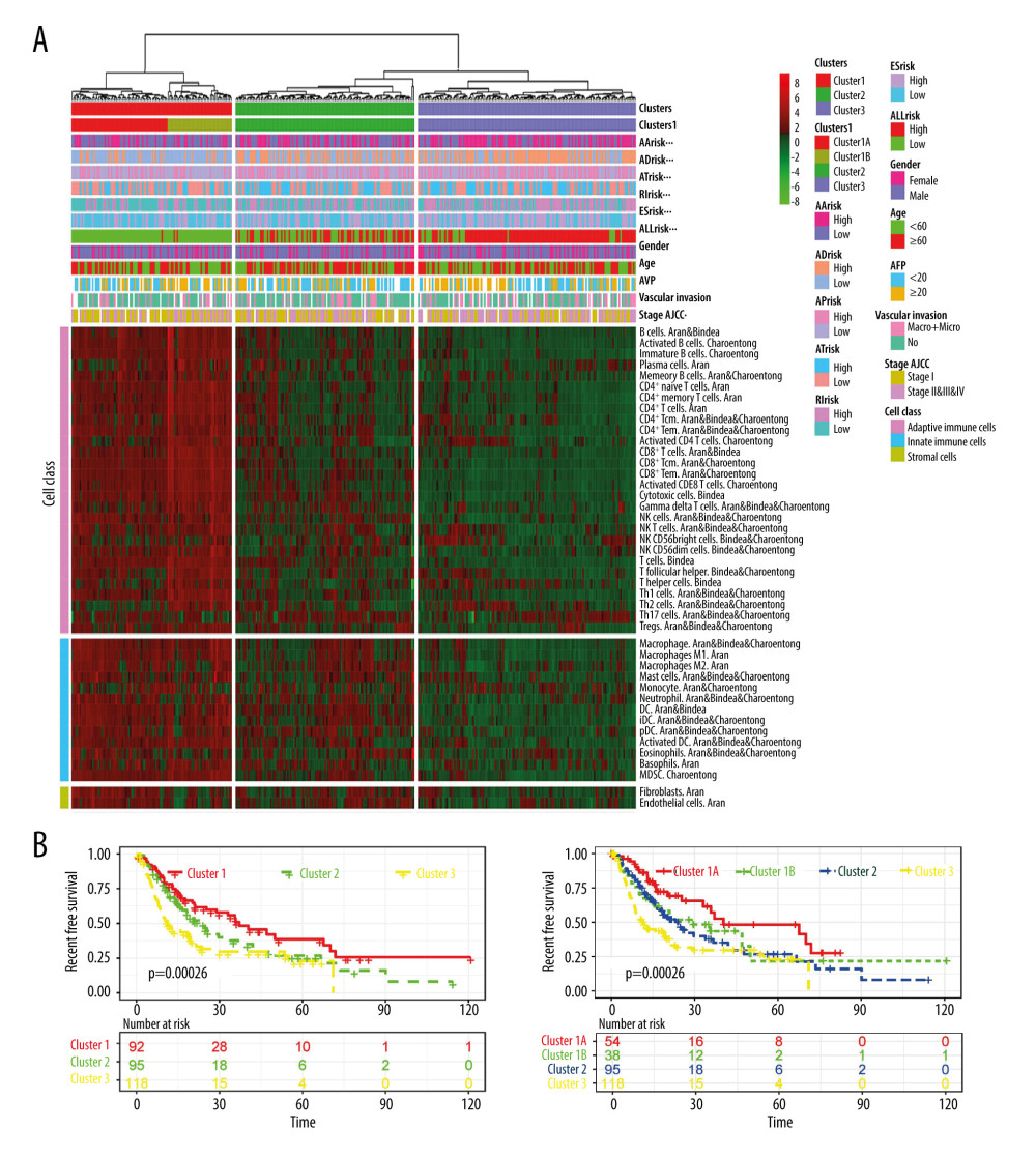 The relationship between AS events and the tumor immune microenvironment. (A) Clustering of HCC microenvironment phenotypes based on the estimated scores of 43 cell subsets. The average score of the cell type was used as indicated by Aran, Bindea, or Charoentong in cases where there were common cell types among the different methods (Aran, Bindea, and Charoentong). (B) Recurrence-free survival analyses for the different immune subtypes; left panel: 3 immune clusters and right panel: cluster1 divided into active (cluster 1A) and exhausted (cluster 1B) subtypes.