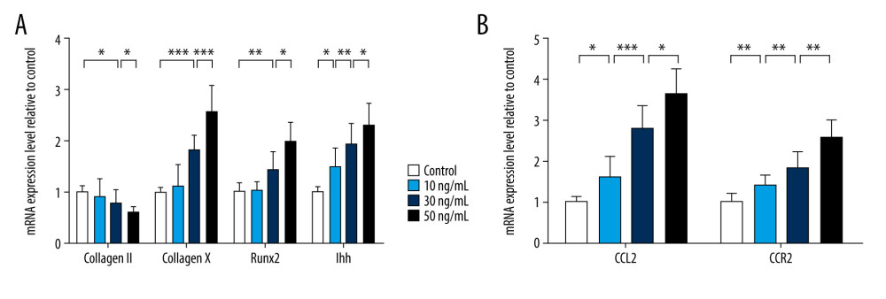 Chemokine (C-C motif) ligand 2 (CCL2) and CCR2 are increased in interleukin 17A-induced chondrocyte hypertrophy. Real-time polymerase chain reaction was used to assess mRNA expression of (A) Type 2 collagen, Type 10 collagen, RUNX2, and IHH and (B) CCL2 and CCR2. Data are shown as means±standard deviations vs the control group. * P<0.05, ** P<0.01, *** P<0.001.