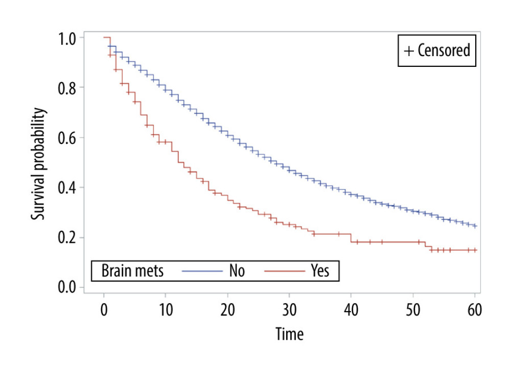 Overall survival of patients by presence or absence of brain metastasis.
