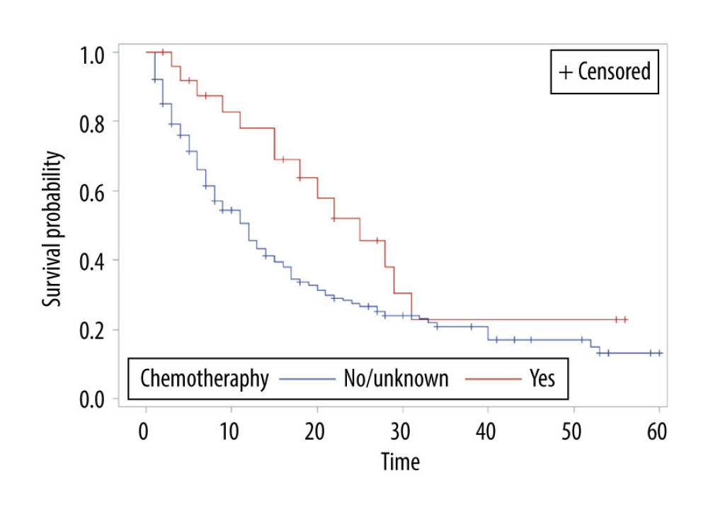 Overall survival of patients with brain metastasis by chemotherapy status.
