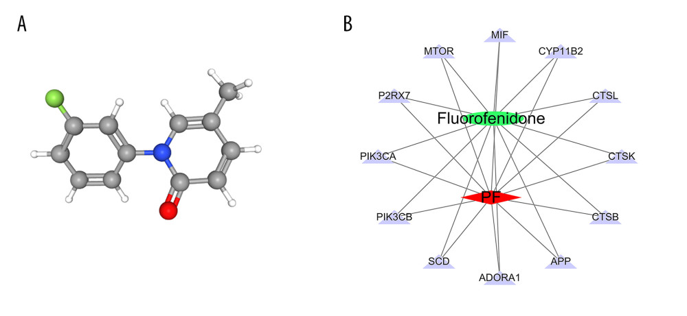 (A) 3D structure of fluorofenidone; (B) The drug-target-disease network. The red diamond represents pulmonary fibrosis, the green circle represents fluorofenidone, the purple triangle represents the target of action, and the line represents the relationship between drugs, diseases, and targets.